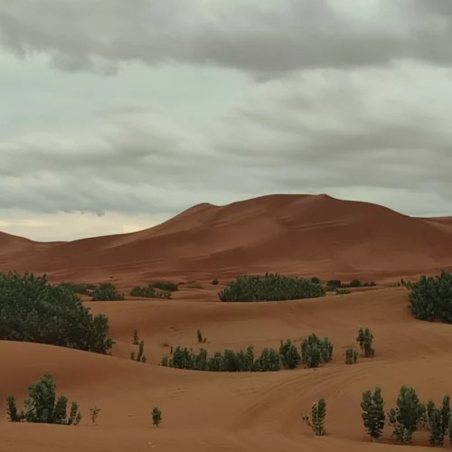 days tour from Marrakech to Merzouga desert