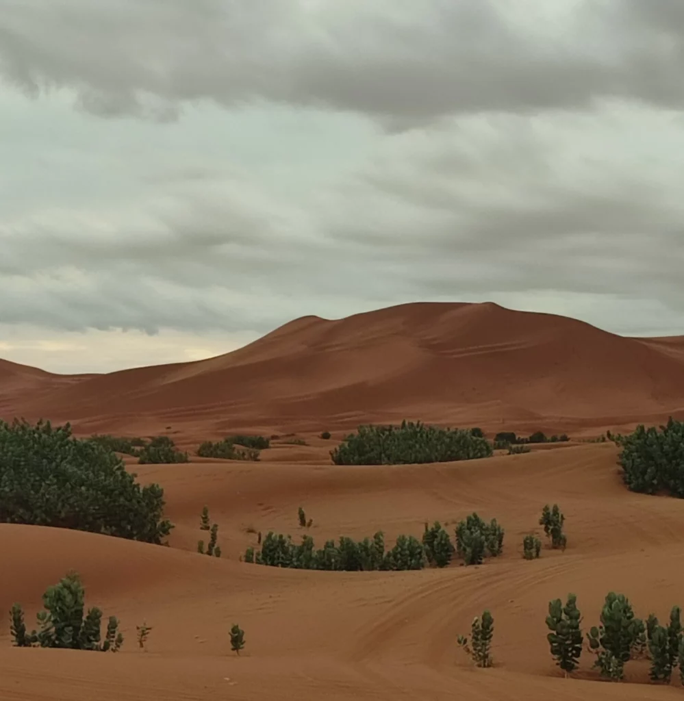 days tour from Marrakech to Merzouga desert