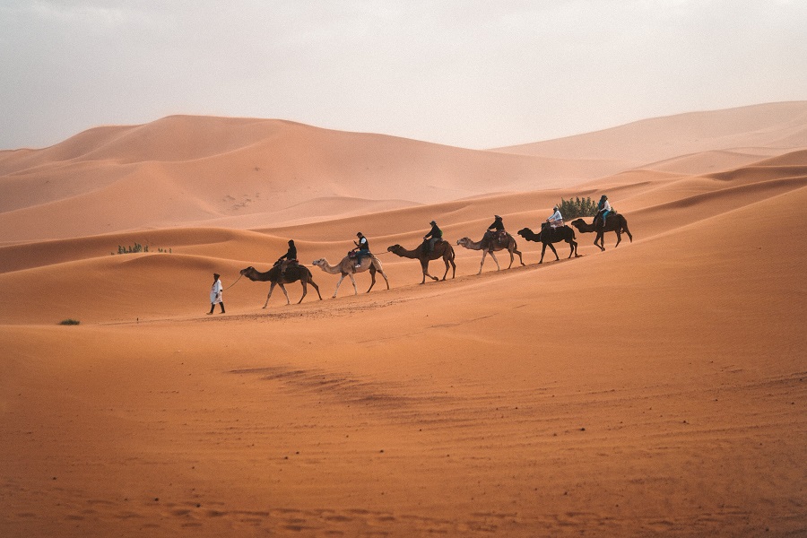 3 day tour from Marrakech to Fes