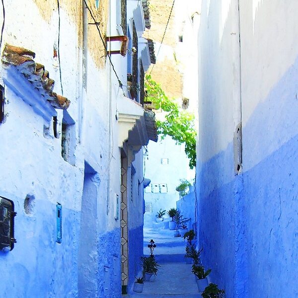 Tours from Tanger