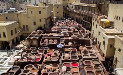 Tours from fes