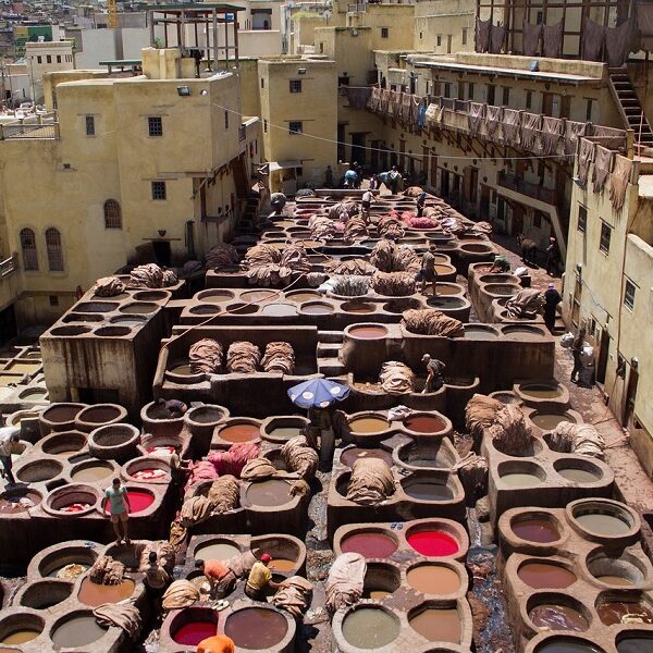 Tours from fes