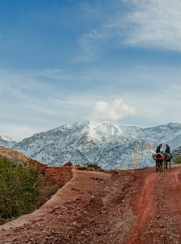 Two people on donkeys travel a dirt path towards mountains.