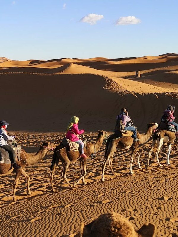 people riding camels on desert during daytime